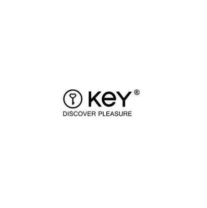 KEY情趣标志logo设计理念